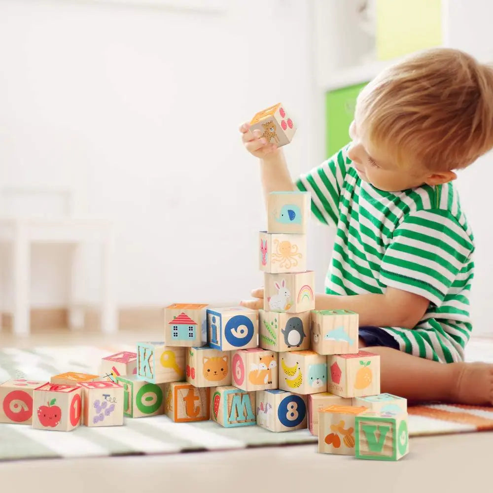 Wooden ABC Building Blocks - Daileylife