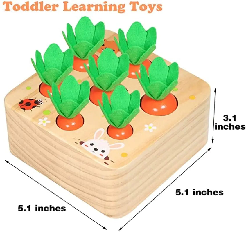 Wooden Toys for Toddlers - Daileylife